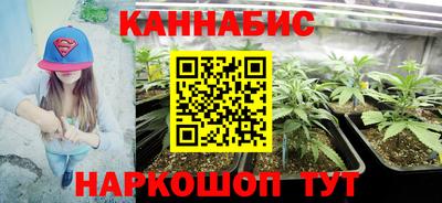 jwh Нальчик