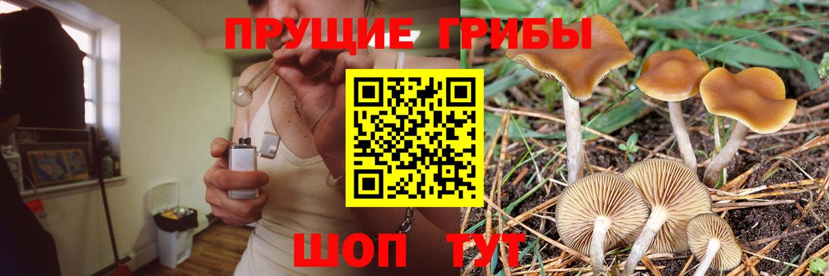 Галлюциногенные грибы MAGIC MUSHROOMS  Вход с VPN  наркошоп  Свободный 