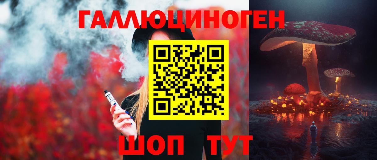 Галлюциногенные грибы Psilocybine cubensis Свободный